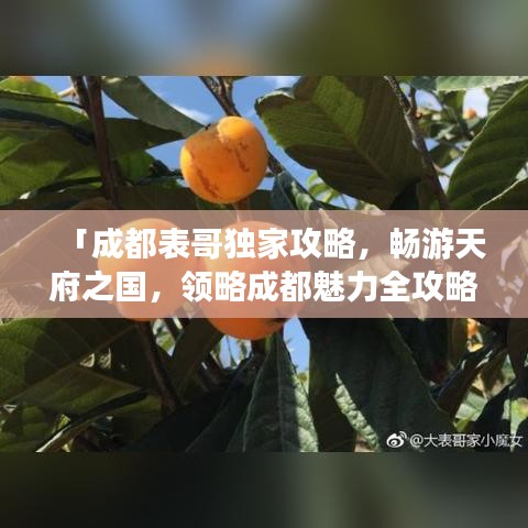 「成都表哥独家攻略，畅游天府之国，领略成都魅力全攻略」