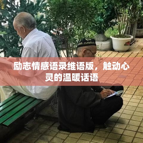 励志情感语录维语版，触动心灵的温暖话语