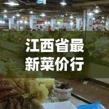 江西省最新菜价行情及今日走势分析