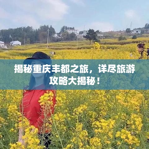 揭秘重庆丰都之旅，详尽旅游攻略大揭秘！