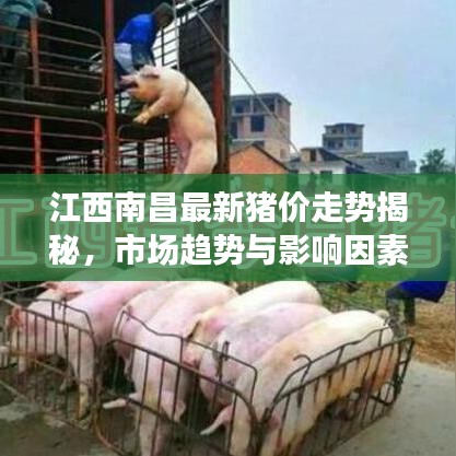 江西南昌最新猪价走势揭秘，市场趋势与影响因素深度解析