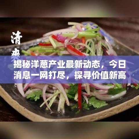 2025年6月6日