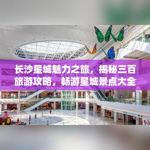 长沙星城魅力之旅，揭秘三百旅游攻略，畅游星城景点大全