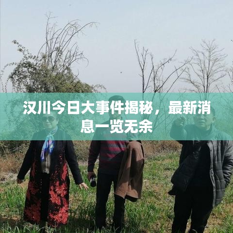 汉川今日大事件揭秘，最新消息一览无余