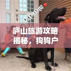 庐山旅游攻略揭秘，狗狗户外探险乐园，必玩景点大放送！