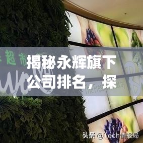 揭秘永辉旗下公司排名，探究零售业巨头多元布局实力展现风采
