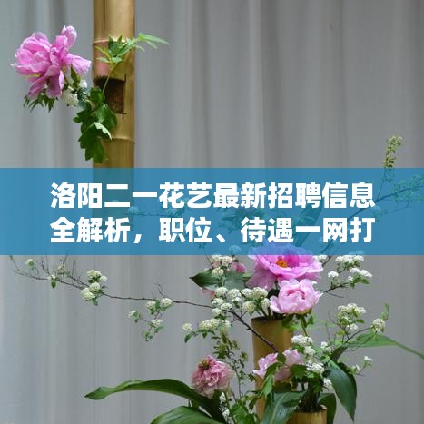 洛阳二一花艺最新招聘信息全解析，职位、待遇一网打尽