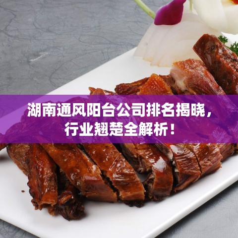 湖南通风阳台公司排名揭晓，行业翘楚全解析！