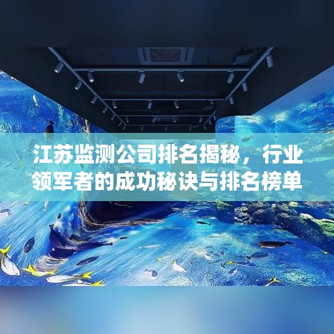 江苏监测公司排名揭秘，行业领军者的成功秘诀与排名榜单揭晓！