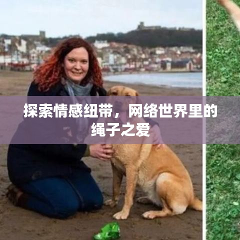 探索情感纽带，网络世界里的绳子之爱