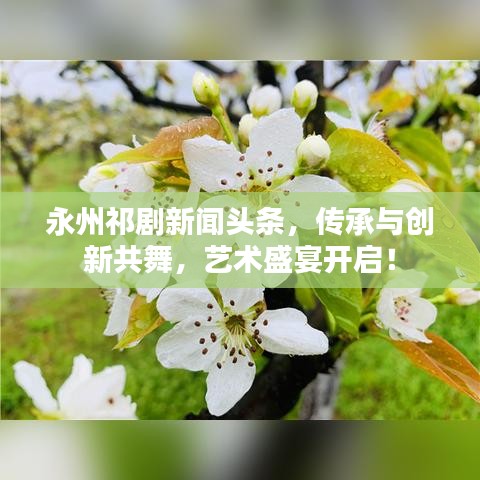 永州祁剧新闻头条，传承与创新共舞，艺术盛宴开启！
