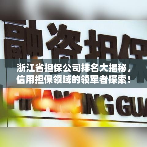 浙江省担保公司排名大揭秘，信用担保领域的领军者探索！