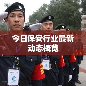今日保安行业最新动态概览