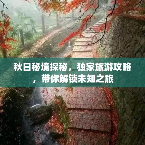 秋日秘境探秘，独家旅游攻略，带你解锁未知之旅