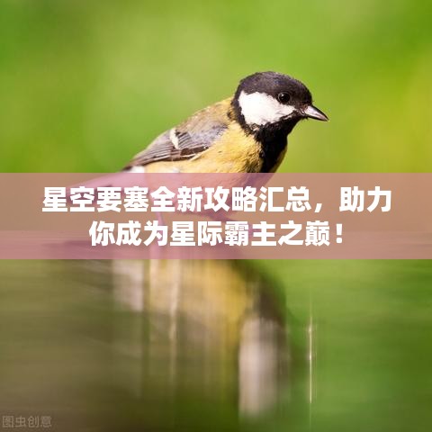 星空要塞全新攻略汇总，助力你成为星际霸主之巅！