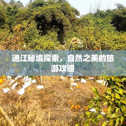 通江秘境探索，自然之美的旅游攻略