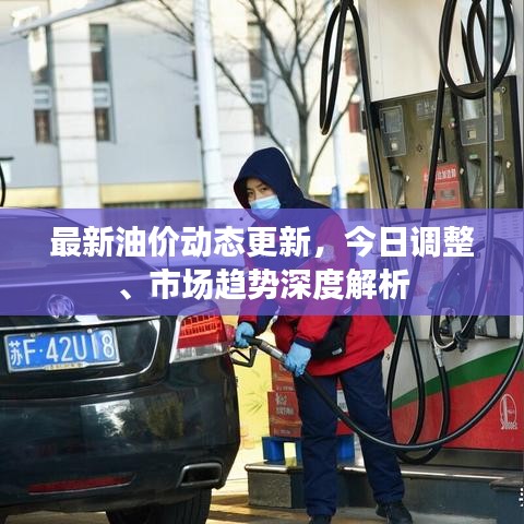 最新油价动态更新，今日调整、市场趋势深度解析