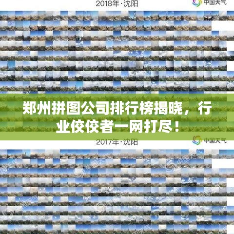 郑州拼图公司排行榜揭晓，行业佼佼者一网打尽！