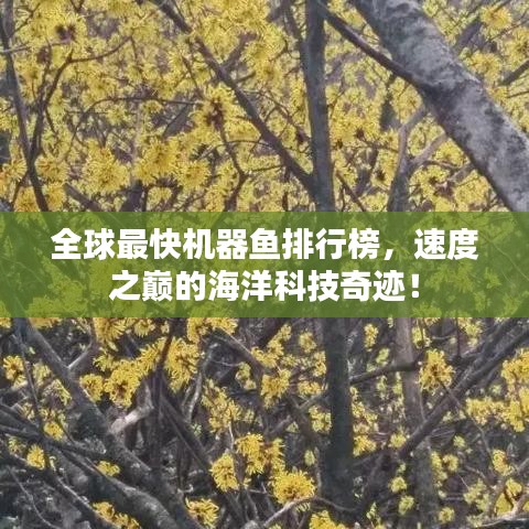 全球最快机器鱼排行榜，速度之巅的海洋科技奇迹！