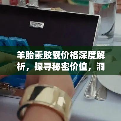 羊胎素胶囊价格深度解析，探寻秘密价值，洞悉市场动态！