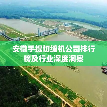 安徽手提切缝机公司排行榜及行业深度洞察