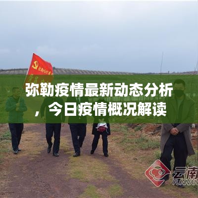 弥勒疫情最新动态分析，今日疫情概况解读