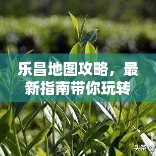 乐昌地图攻略，最新指南带你玩转城市！