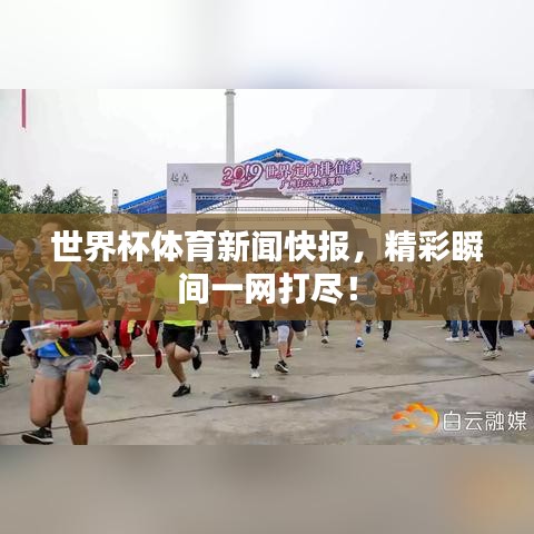 世界杯体育新闻快报，精彩瞬间一网打尽！