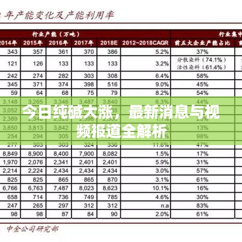 今日纯碱大涨，最新消息与视频报道全解析