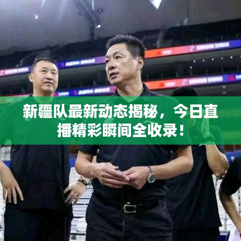 新疆队最新动态揭秘，今日直播精彩瞬间全收录！