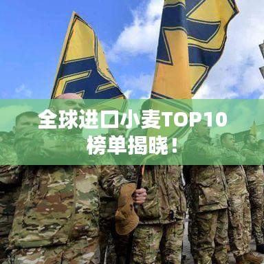 全球进口小麦TOP10榜单揭晓！