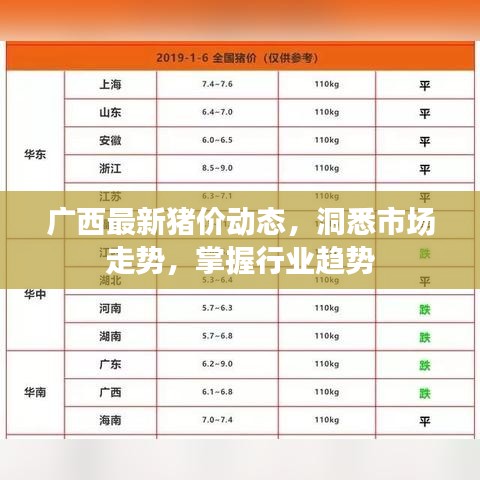 广西最新猪价动态，洞悉市场走势，掌握行业趋势