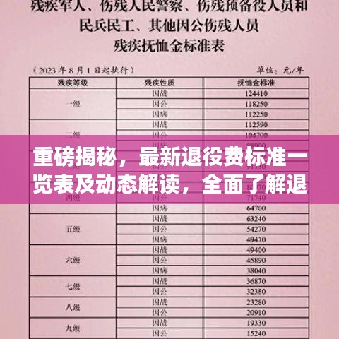 重磅揭秘，最新退役费标准一览表及动态解读，全面了解退役费用变化！