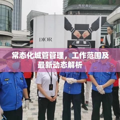 常态化城管管理，工作范围及最新动态解析