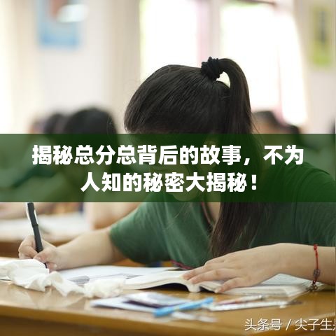 揭秘总分总背后的故事，不为人知的秘密大揭秘！