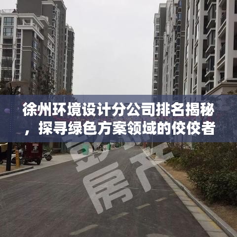 徐州环境设计分公司排名揭秘，探寻绿色方案领域的佼佼者