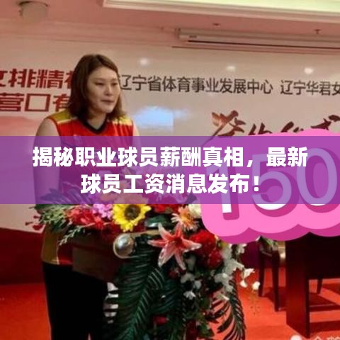 揭秘职业球员薪酬真相，最新球员工资消息发布！