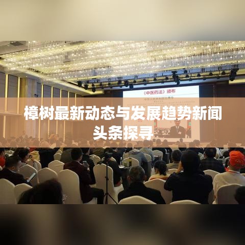 樟树最新动态与发展趋势新闻头条探寻