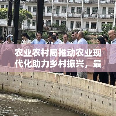 农业农村局推动农业现代化助力乡村振兴，最新动态与积极举措