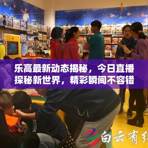 乐高最新动态揭秘，今日直播探秘新世界，精彩瞬间不容错过