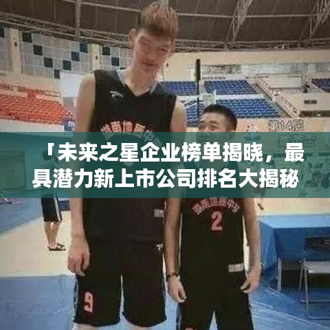 「未来之星企业榜单揭晓，最具潜力新上市公司排名大揭秘！」