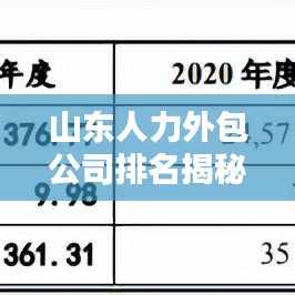 山东人力外包公司排名揭秘，探寻行业领军者，你不可不知的几家巨头！
