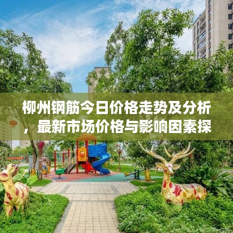 柳州钢筋今日价格走势及分析，最新市场价格与影响因素探讨