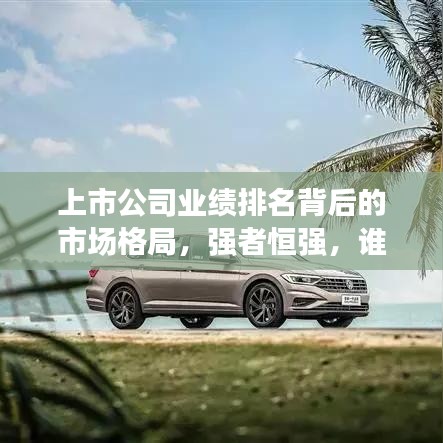上市公司业绩排名背后的市场格局，强者恒强，谁领风骚？