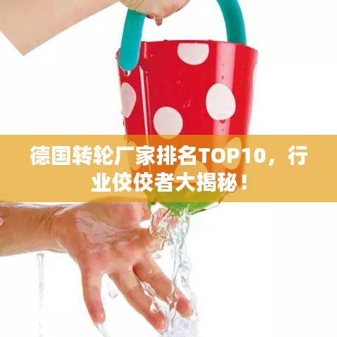 德国转轮厂家排名TOP10，行业佼佼者大揭秘！