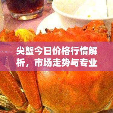 尖蟹今日价格行情解析，市场走势与专业解读