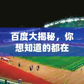 百度大揭秘，你想知道的都在这里！