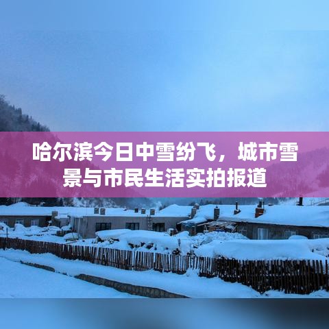 哈尔滨今日中雪纷飞，城市雪景与市民生活实拍报道