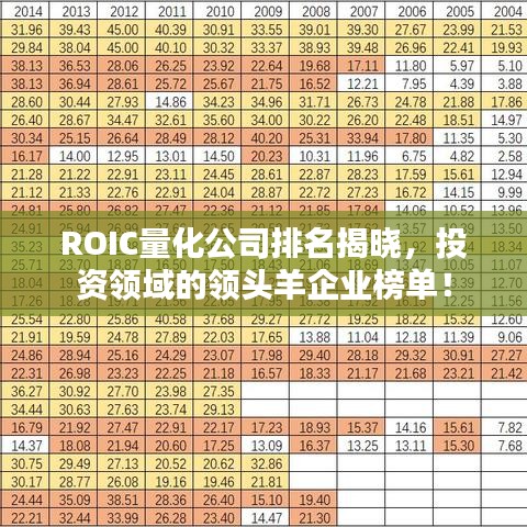 ROIC量化公司排名揭晓，投资领域的领头羊企业榜单！