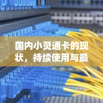 国内小灵通卡的现状，持续使用与最新消息引人关注